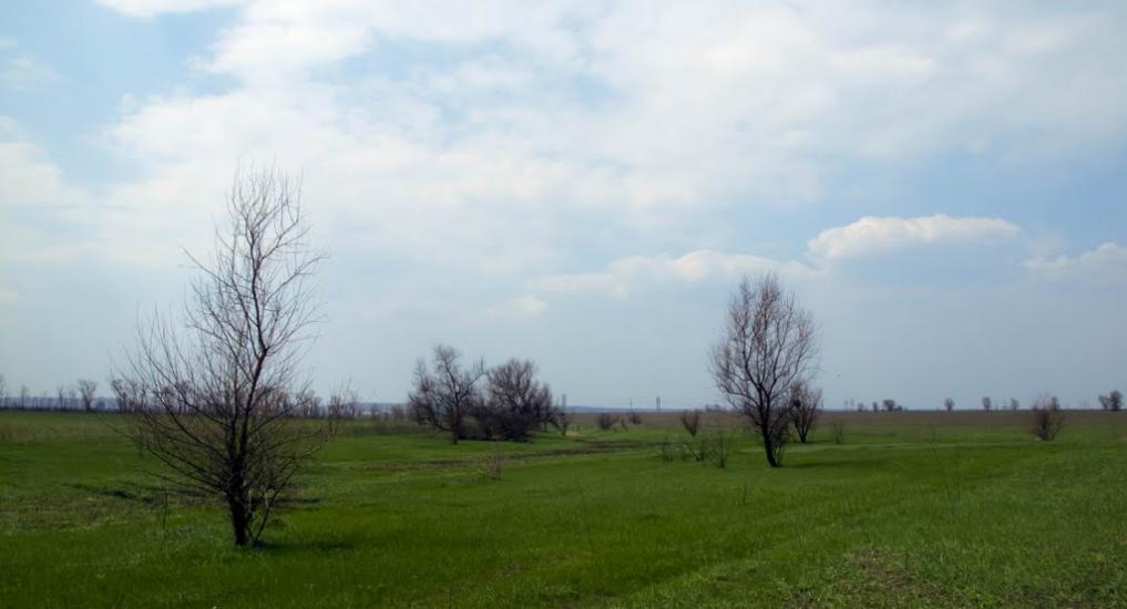 Новомайське з panoramio.com - Новомайское