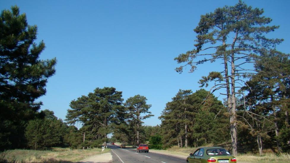 Саги з panoramio.com - Саги