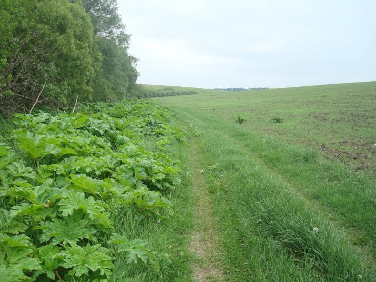 Мацьківці з panoramio.com - Мацьковцы