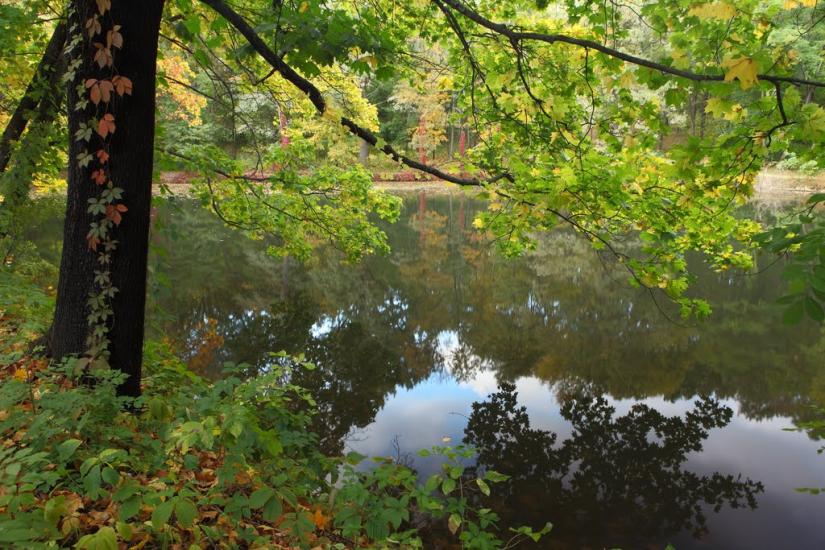 Краснокутськ з panoramio.com - Краснокутск
