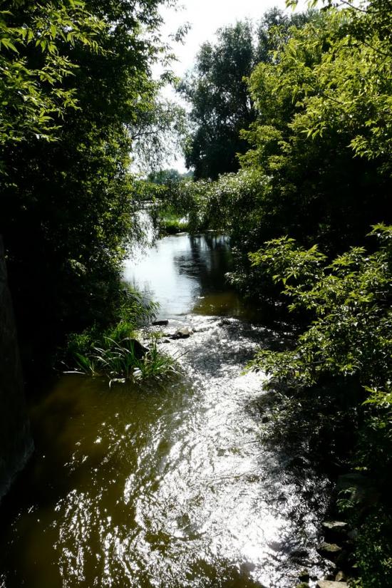 Мала Мечетня з panoramio.com - Малая Мечетня