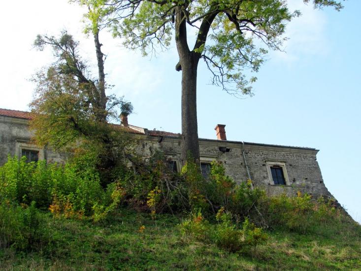 Свірж з panoramio.com - Свирж