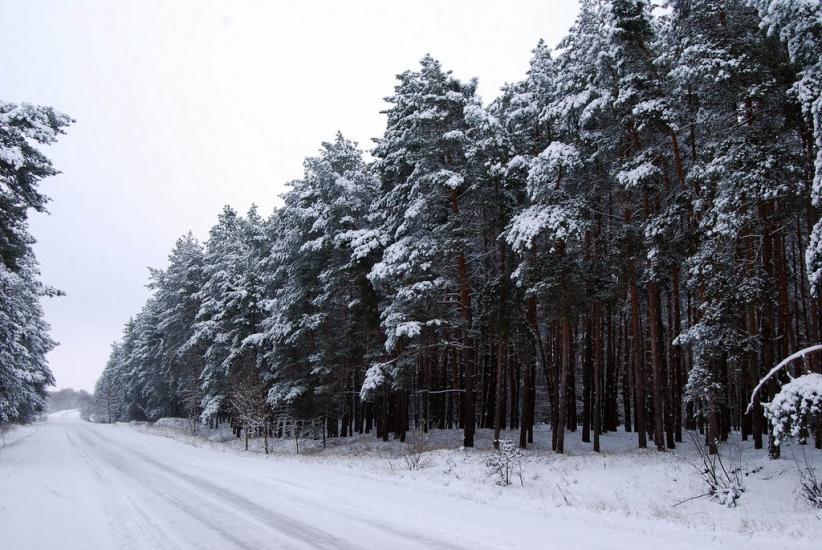 Хорішки з panoramio.com - Хорішки