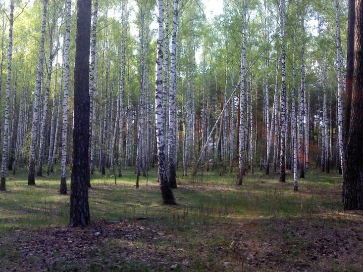 Короп з panoramio.com - Короп