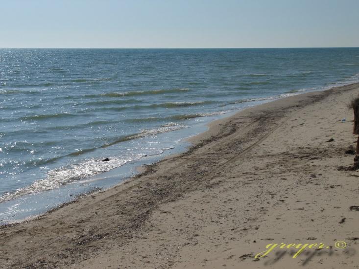 Більшовик з panoramio.com - Большевик