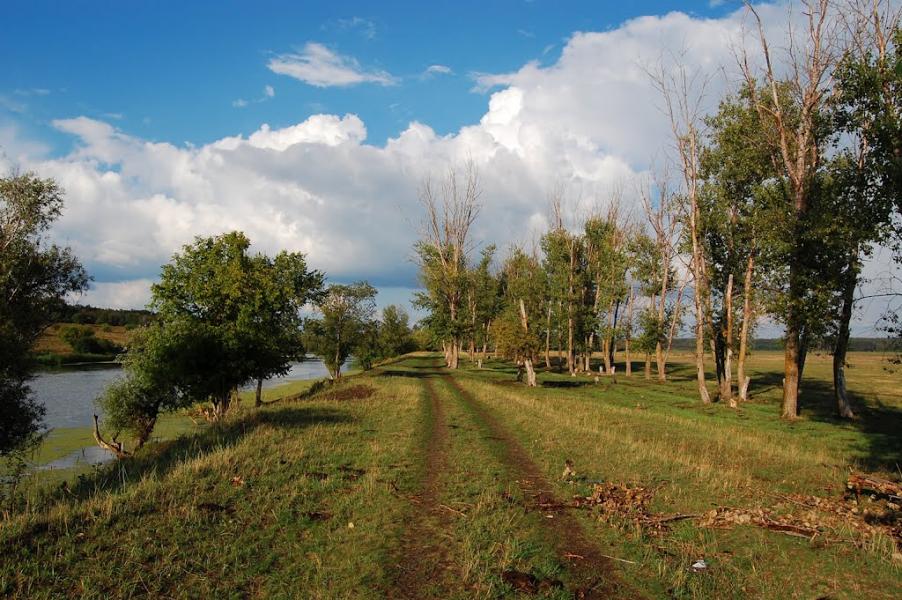 Шелудьківка з panoramio.com - Sheludkivka