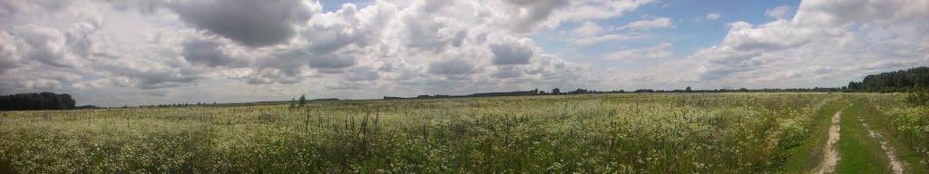 Березанка з panoramio.com - Березанка