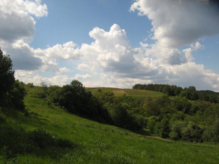 Григорівка з panoramio.com - Григоровка
