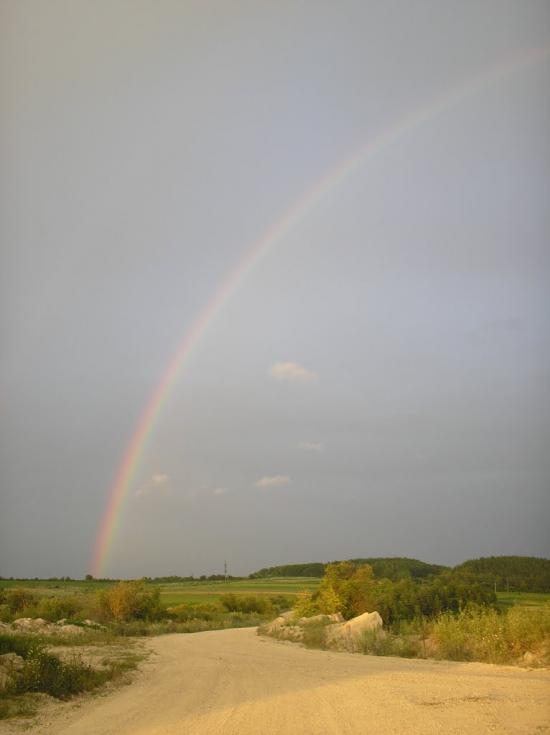 Закупне з panoramio.com - Закупное