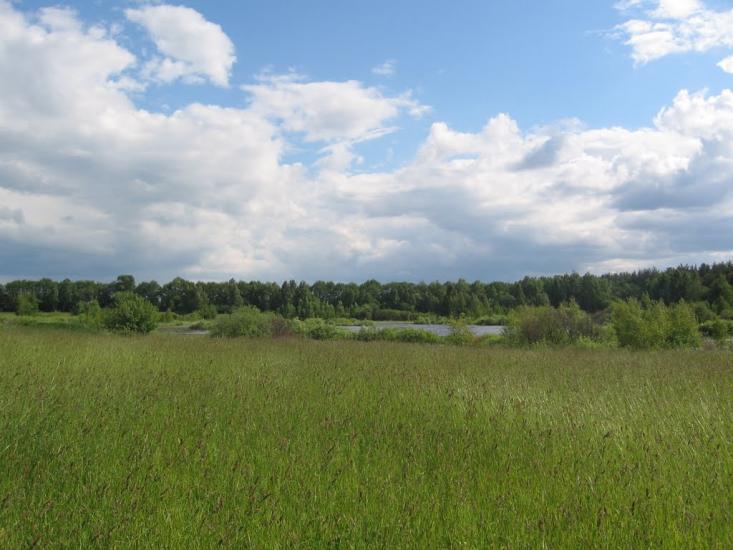 Терехівка з panoramio.com - Тереховка