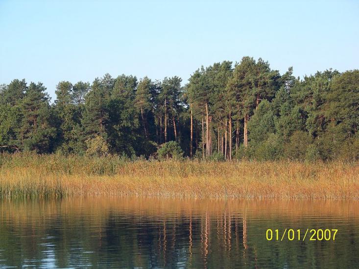 Пулемець з panoramio.com - Пулемець