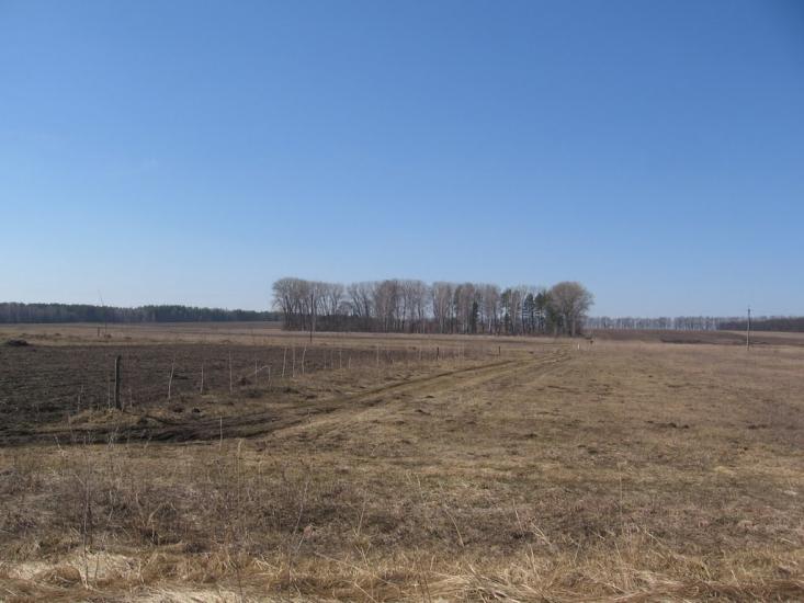 Малинівка з panoramio.com - Малинівка