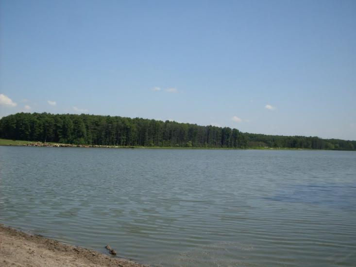 Нараївка з panoramio.com - Нараевка
