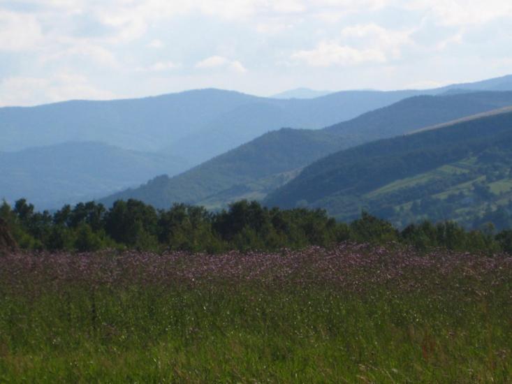 Монастирчани з panoramio.com - Монастирчани