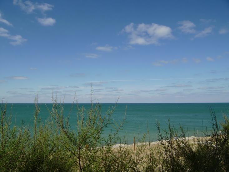 Берегове з panoramio.com - Берегово
