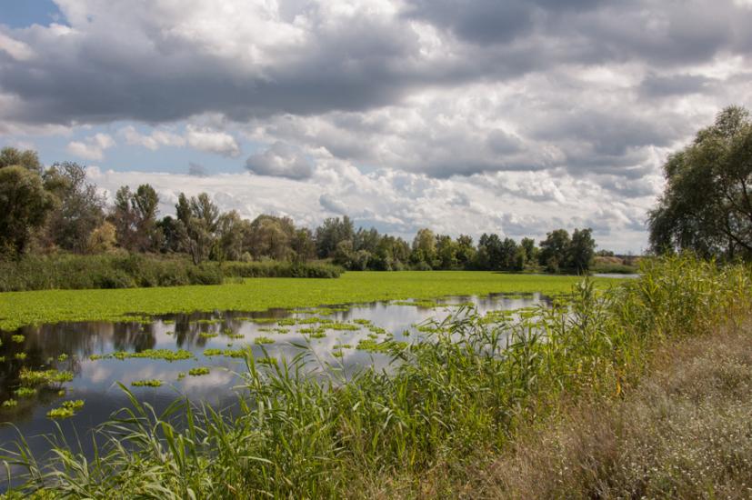 Зідьки з panoramio.com - Zidky