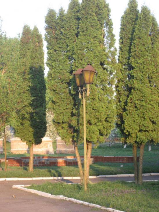 Бирлівка з panoramio.com - Бирлівка