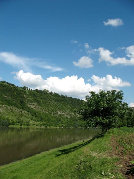 Кострижівка з panoramio.com - Кострижевка