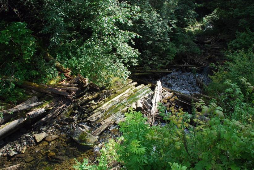 Бистриця з panoramio.com - Быстрица