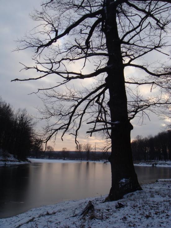 Буди з panoramio.com - Буди