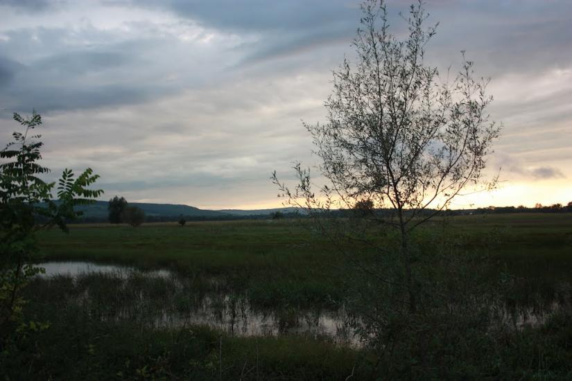 Драниця з panoramio.com - Драниця