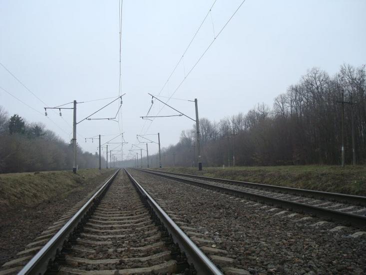 Васютинці з panoramio.com - Васютинці