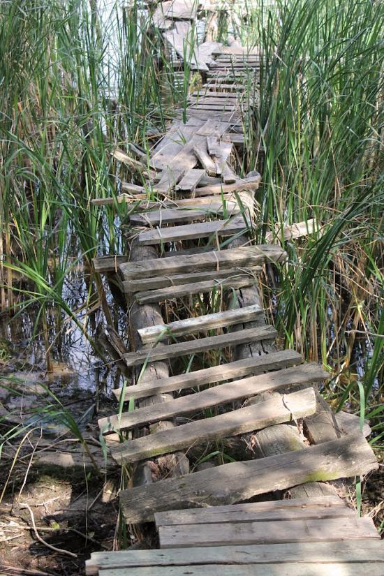 Верхній Салтів з panoramio.com - Верхній Салтів