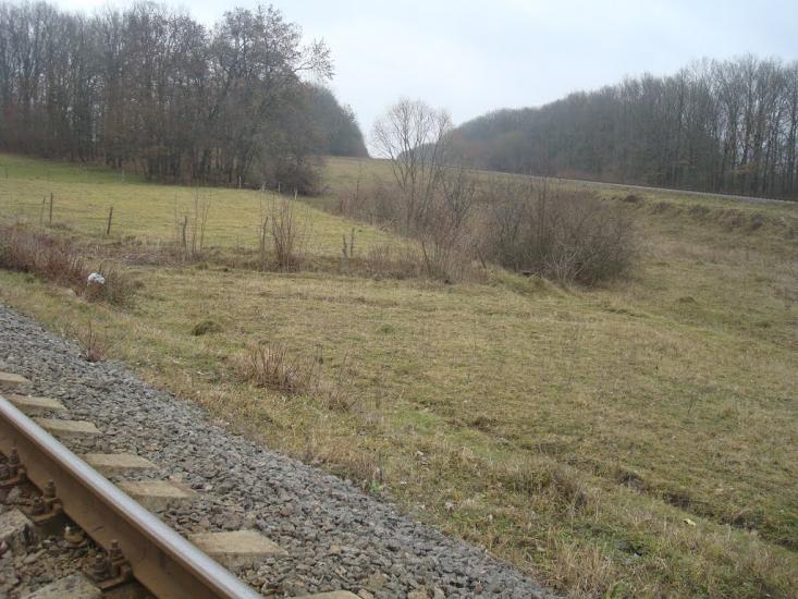Воронківці з panoramio.com - Воронковцы