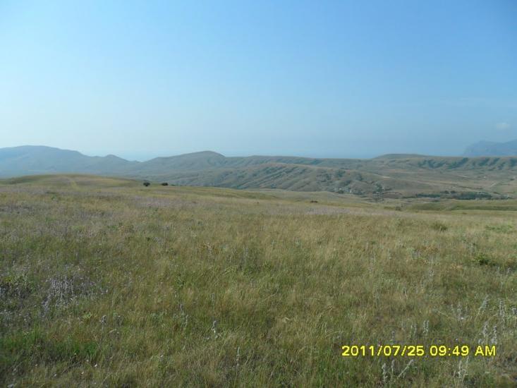 Підгірне з panoramio.com - Підгірне
