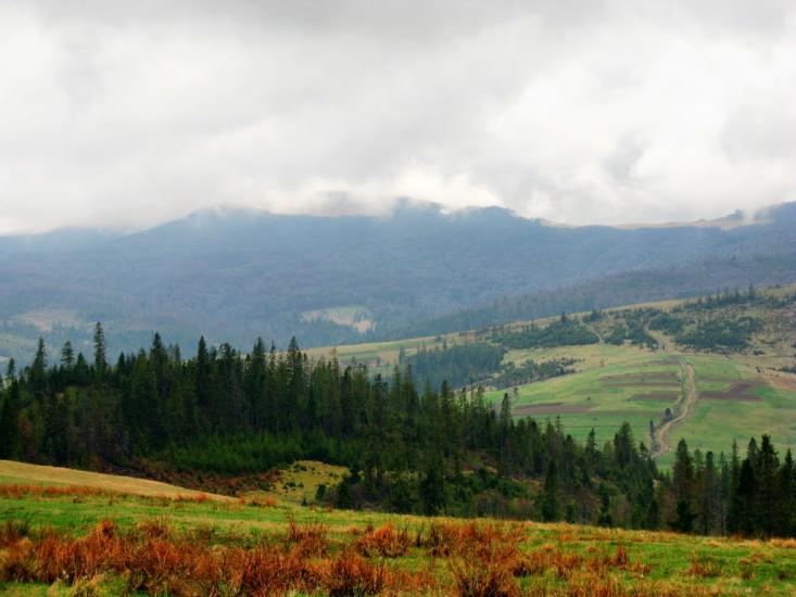 Карпатське з panoramio.com - Карпатское