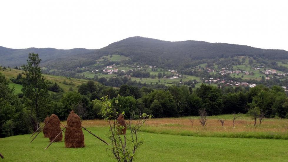 Кричка з panoramio.com - Кричка