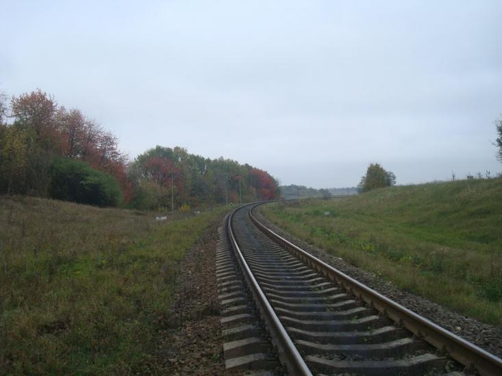 Буйволівці з panoramio.com - Буйволівці