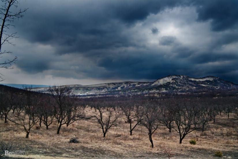 Білокам'яне з panoramio.com - Білокам'яне