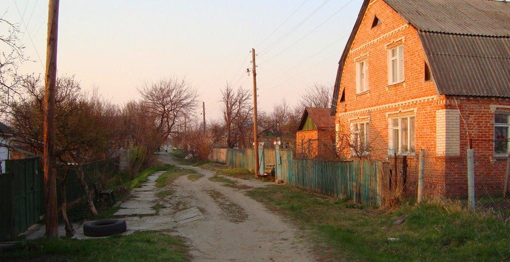 Рогань з panoramio.com - Rogan