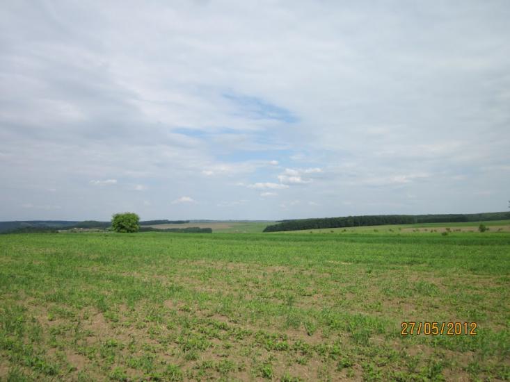 Бабин з panoramio.com - Babyn
