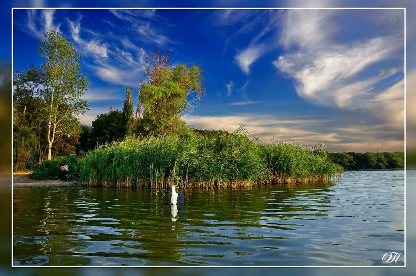 Олександрівка з panoramio.com - Олександрівка