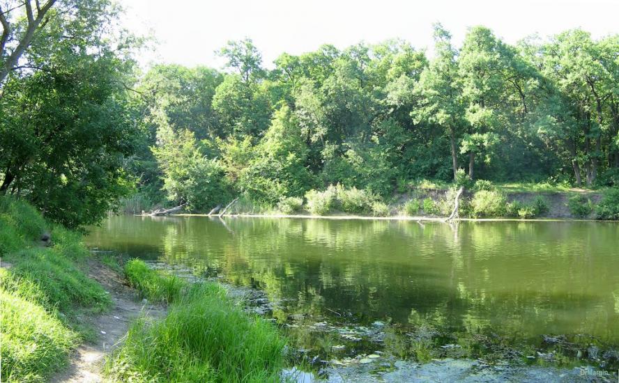 Стародубівка з panoramio.com - Стародубовка