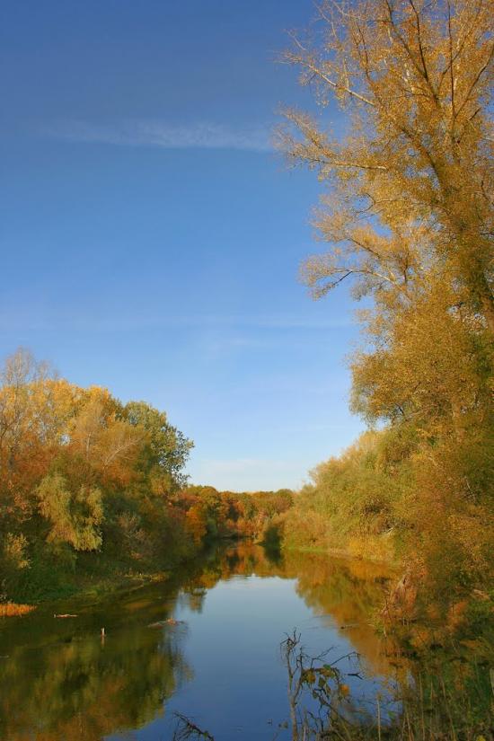 Нижня Мануйлівка з panoramio.com - Nyzhnya Manuylivka