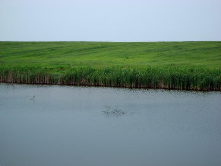 Коротич з panoramio.com - Коротыч