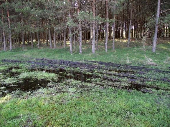 Дошне з panoramio.com - Дошне