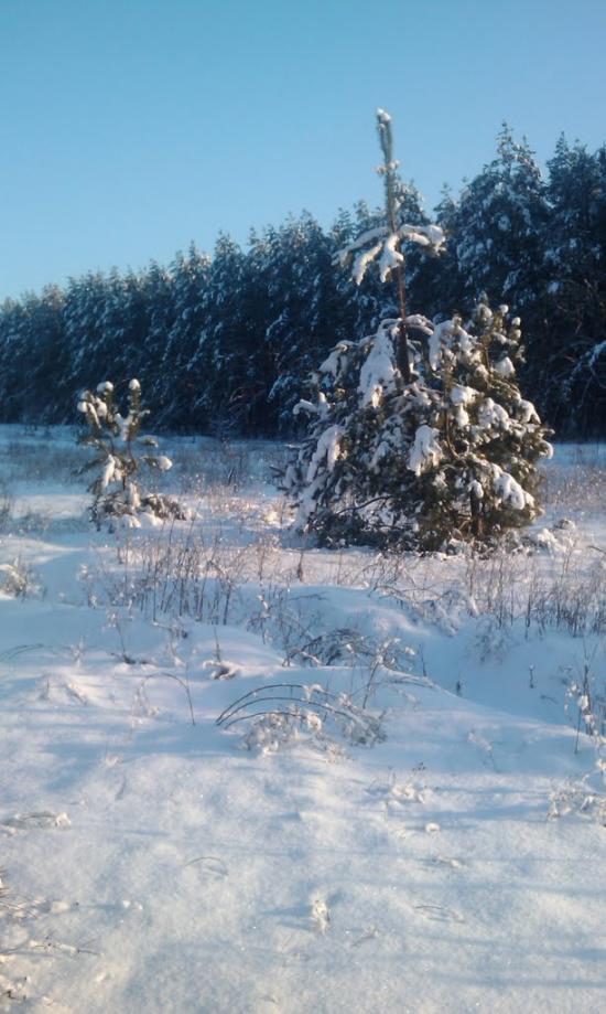 Борівське з panoramio.com - Борівське