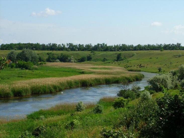 Конькове з panoramio.com - Коньково