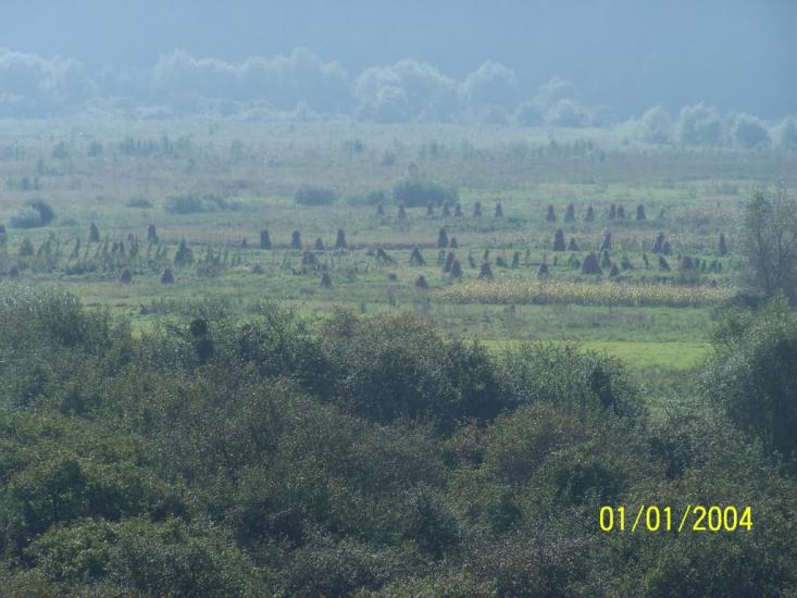 Старе Село з panoramio.com - Старое Село
