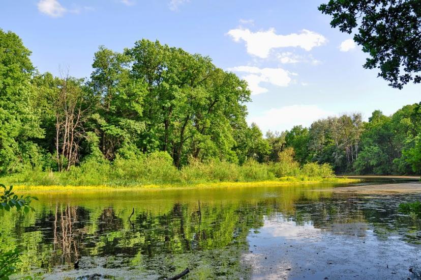 Шипилівка з panoramio.com - Shypylivka