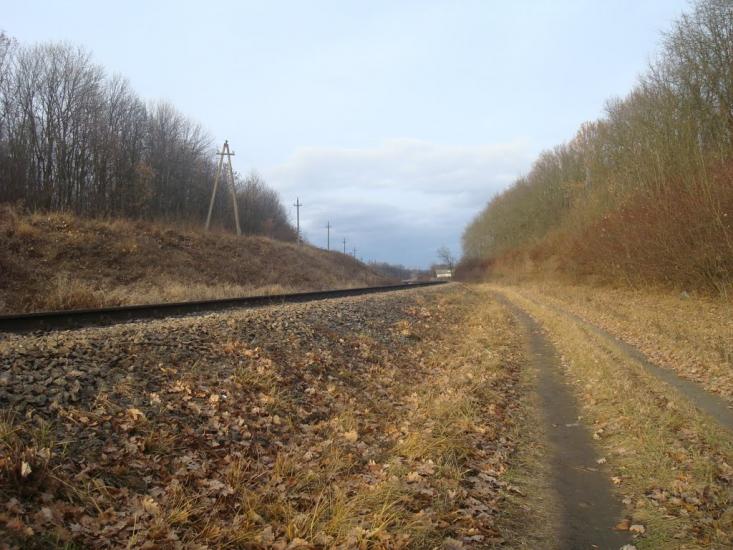 Шаровечка з panoramio.com - Sharovechka