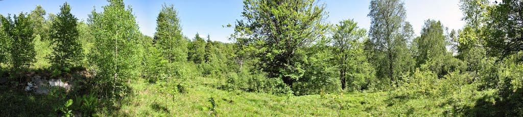 Труханів з panoramio.com - Trukhaniv