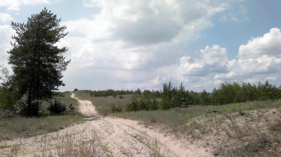Щастя з panoramio.com - Счастье