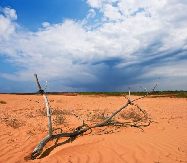 Знаменівка з panoramio.com - Знаменовка