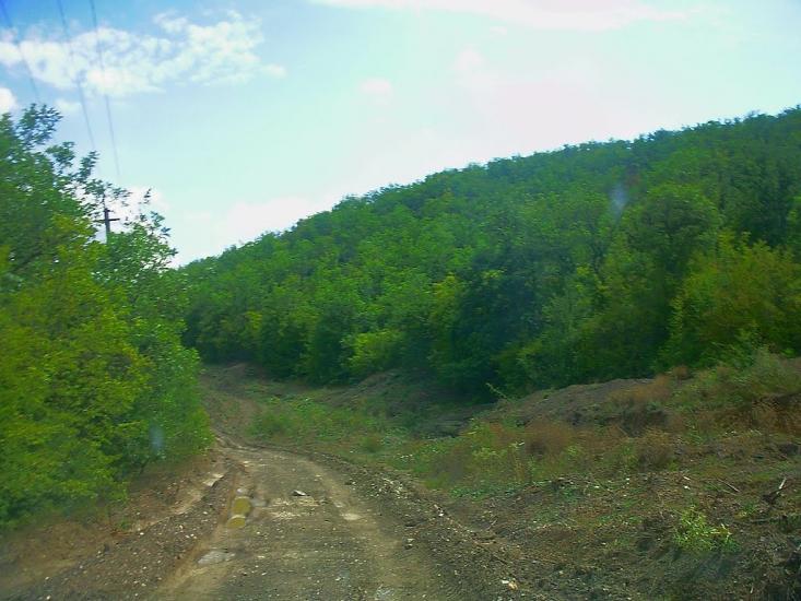 Щасливе з panoramio.com - Schaslyve