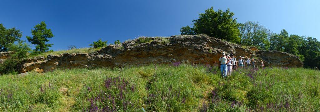 Малинівка з panoramio.com - Малиновка